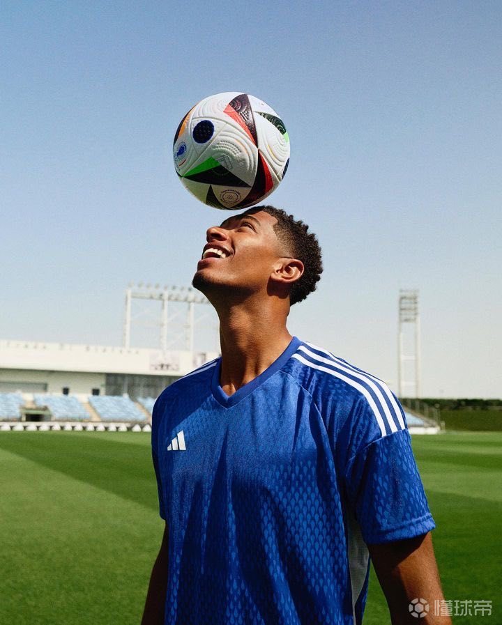 的生存位可 的生存位可